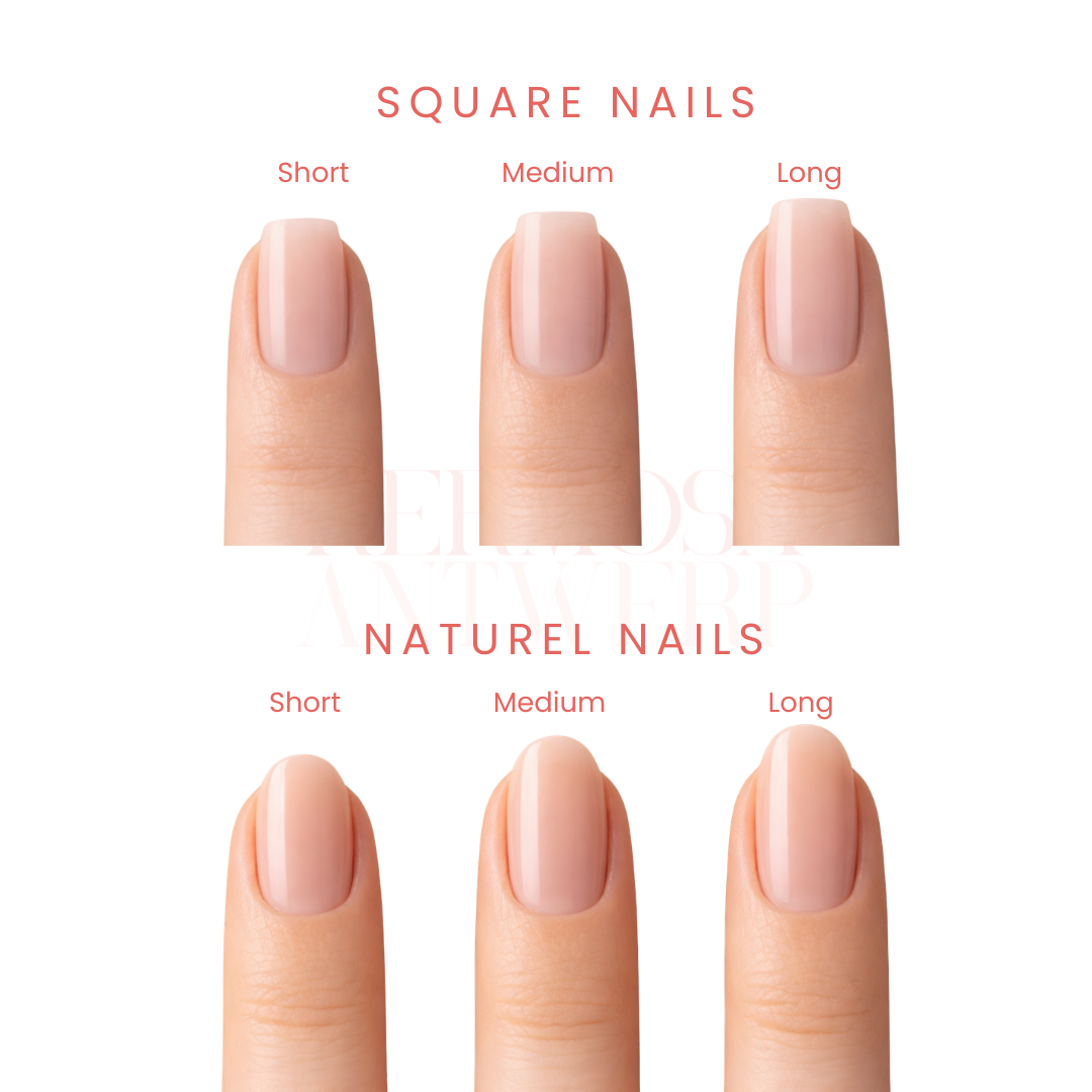 BIAB press ons + french tip